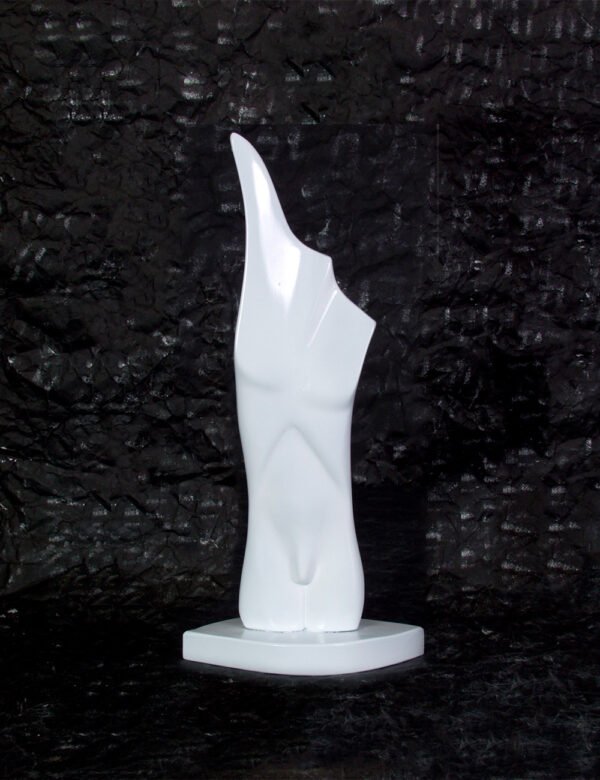 Abstract Male Body Piece