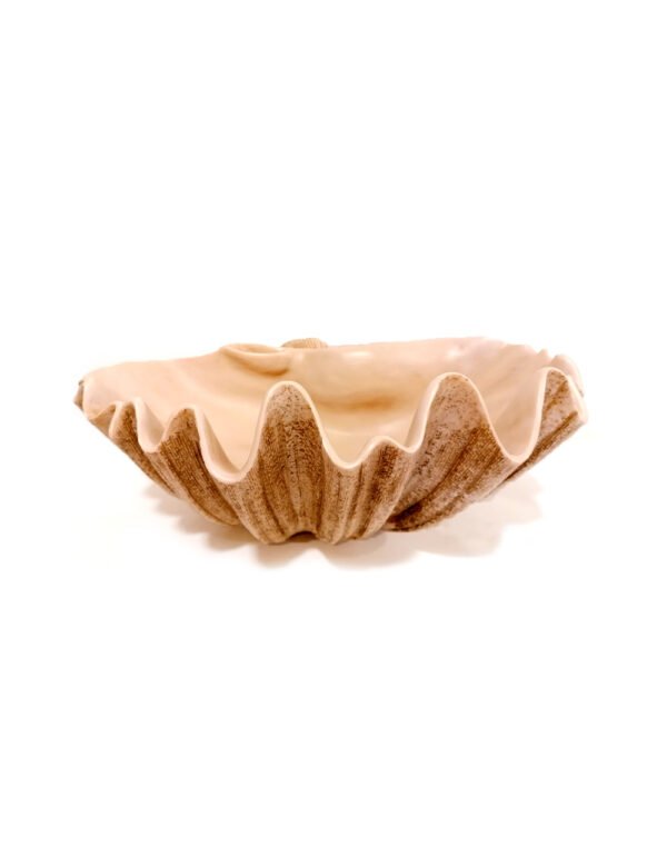 Shell